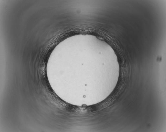 X0000111950613200908241206