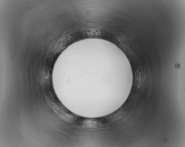 X0000111950614200908241206