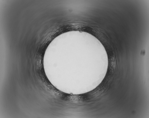 X0000111950615200908241206