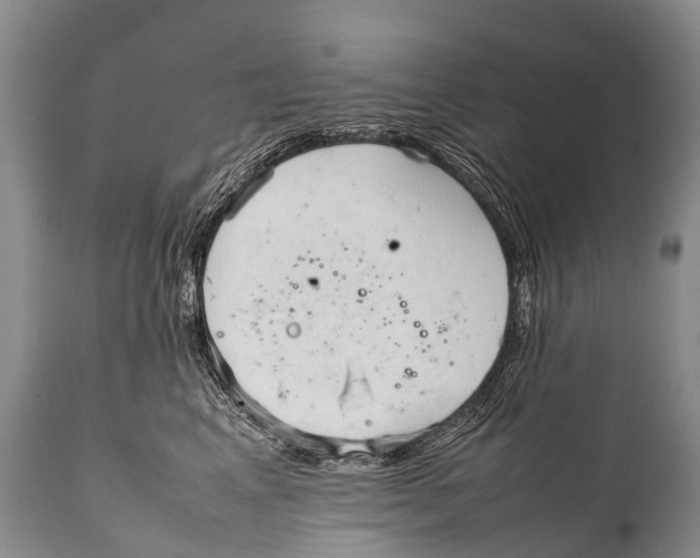 X0000111950617200908241206