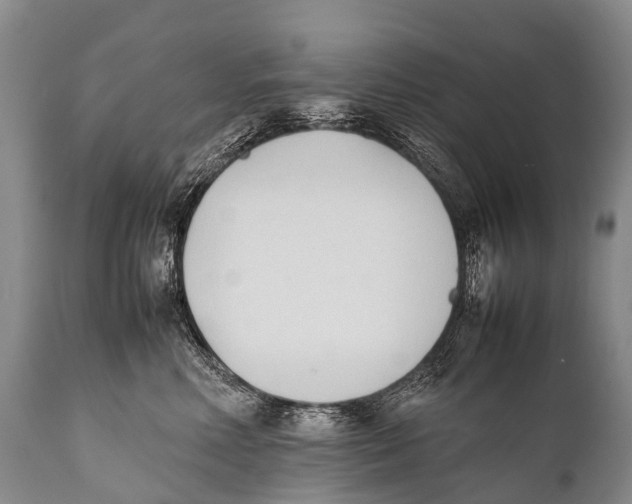 X0000111950618200908241206