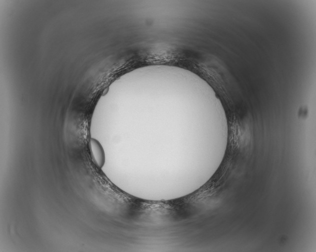 X0000111950621200908241206