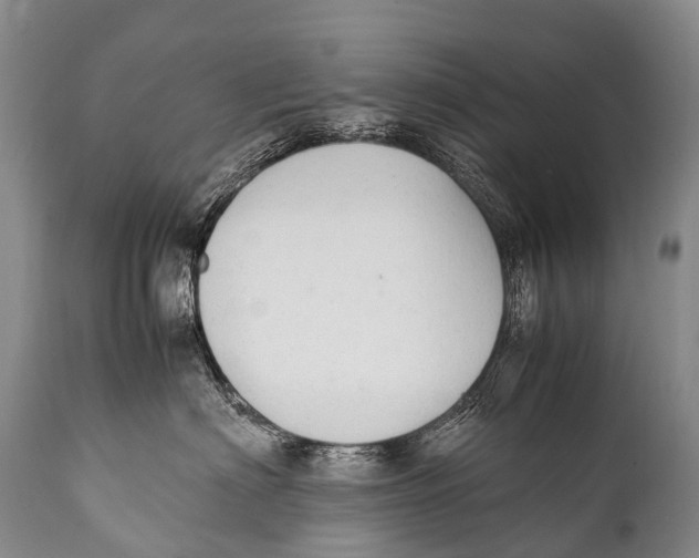 X0000111950622200908241206