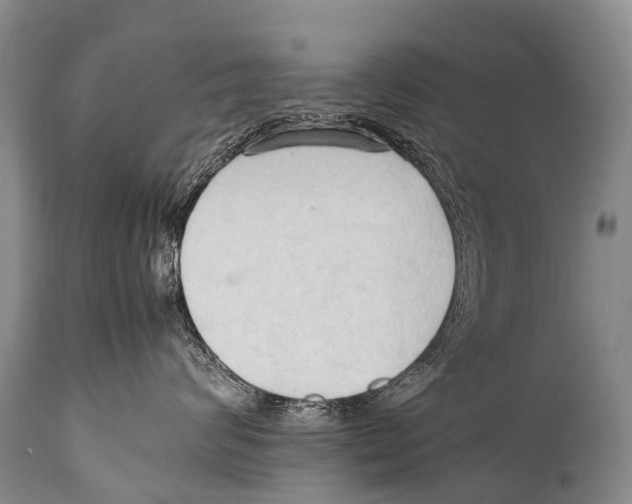 X0000111950624200908241206