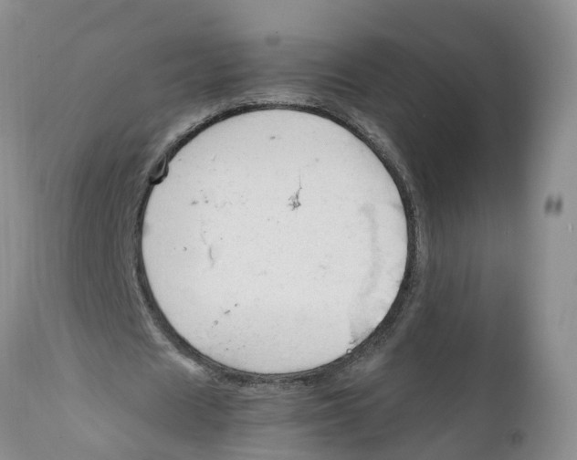 X0000111950625200908241205