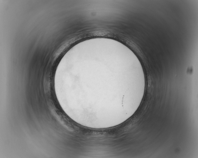 X0000111950626200908241205