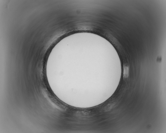 X0000111950627200908241205