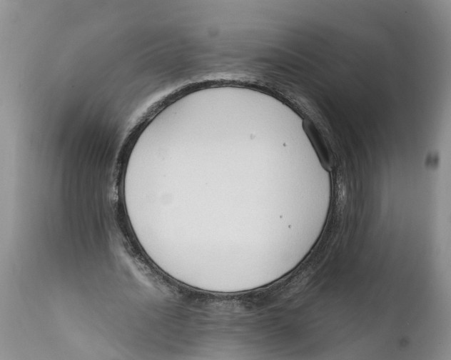 X0000111950628200908241205