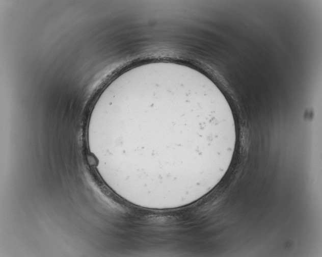 X0000111950629200908241205