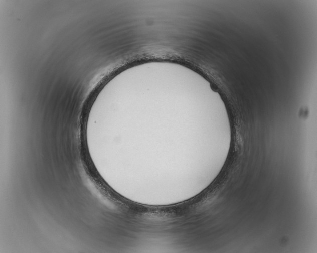 X0000111950630200908241205