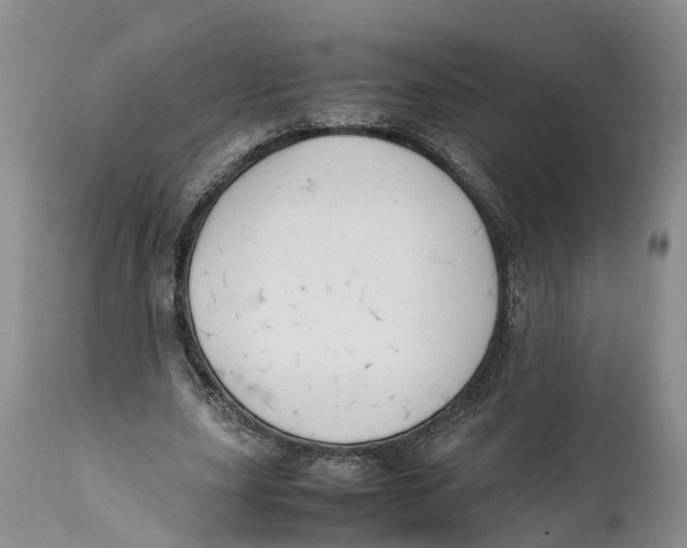 X0000111950631200908241205