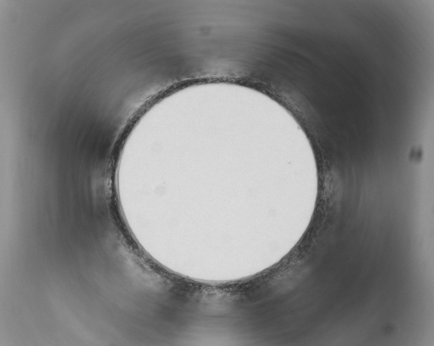 X0000111950632200908241205