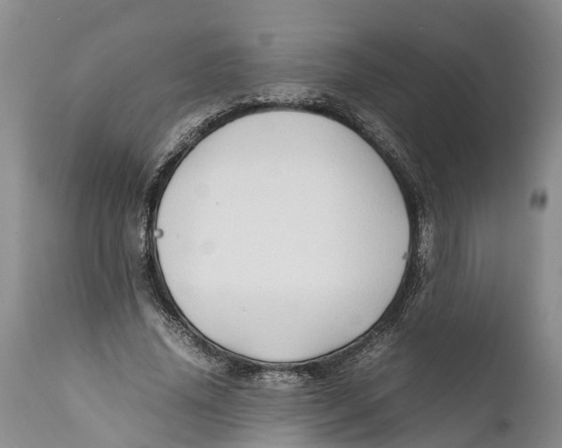 X0000111950636200908241205