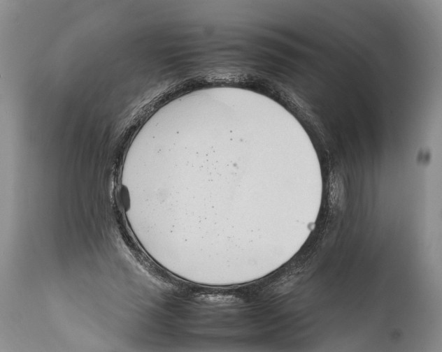 X0000111950637200908241205