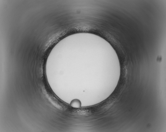X0000111950638200908241205
