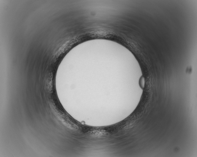 X0000111950642200908241205