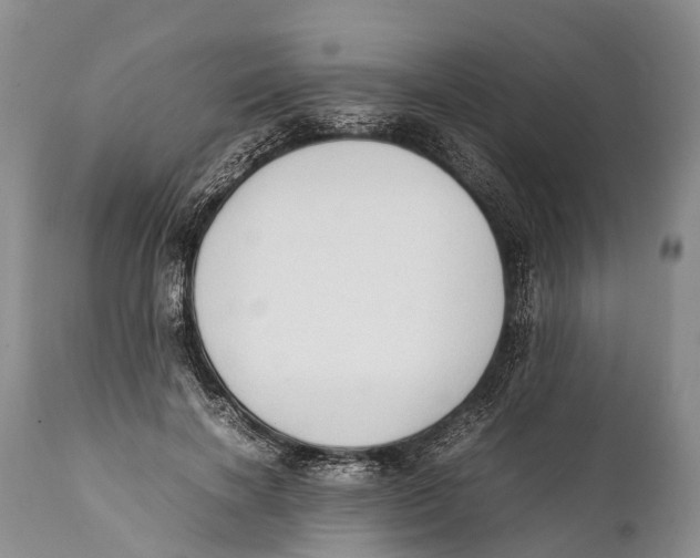 X0000111950646200908241205