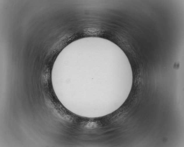 X0000111950647200908241205