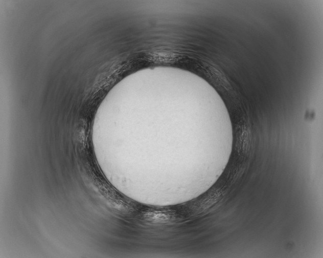 X0000111950655200908241206