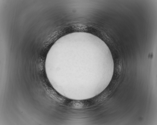 X0000111950658200908241206