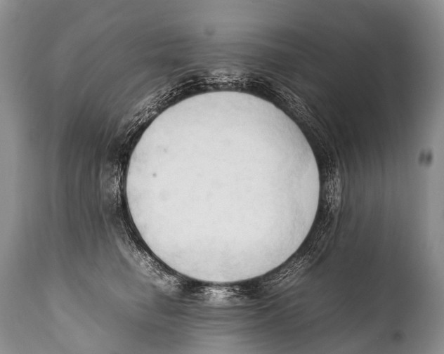 X0000111950662200908241206