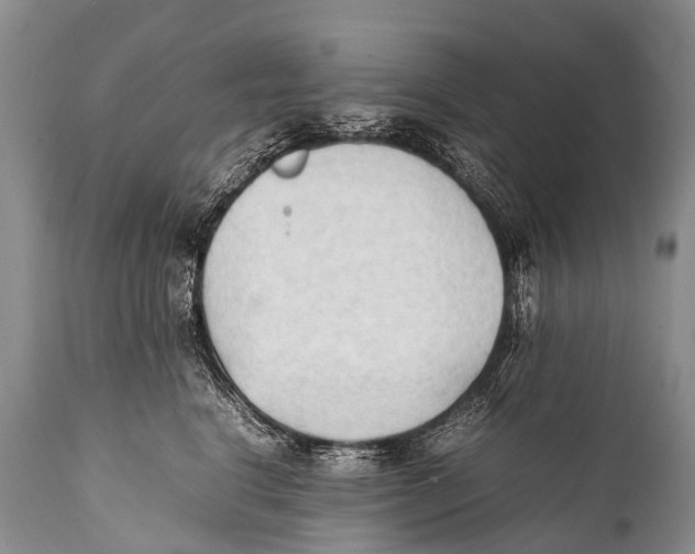 X0000111950664200908241206