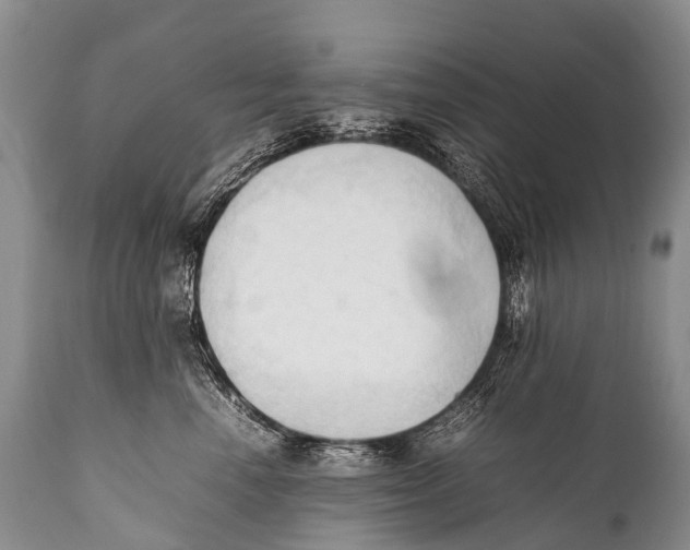 X0000111950666200908241206