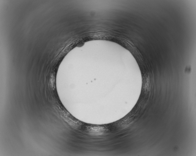 X0000111950669200908241206