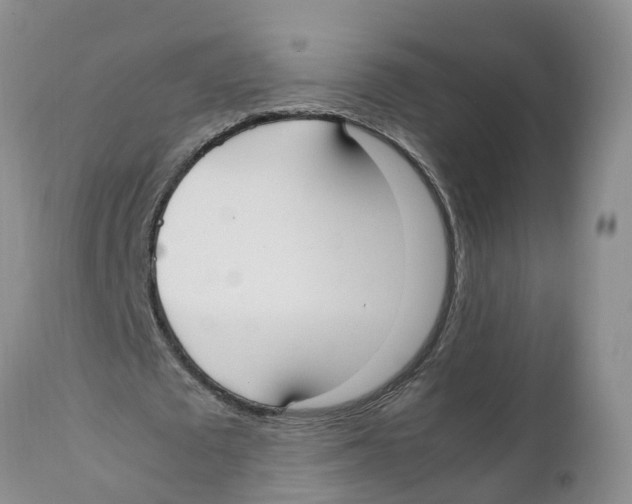 X0000111950673200908241205