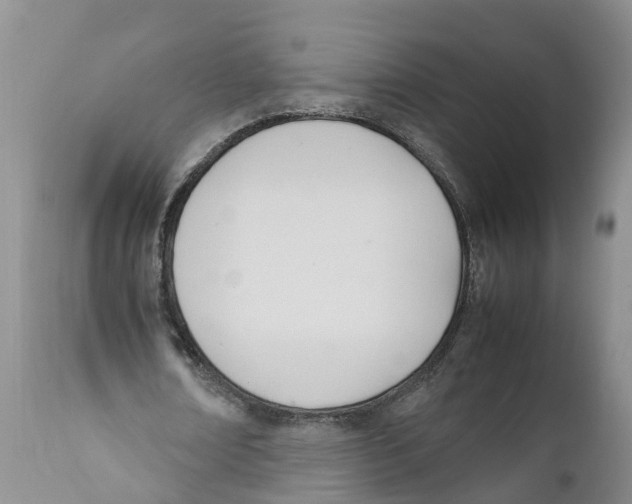 X0000111950674200908241205