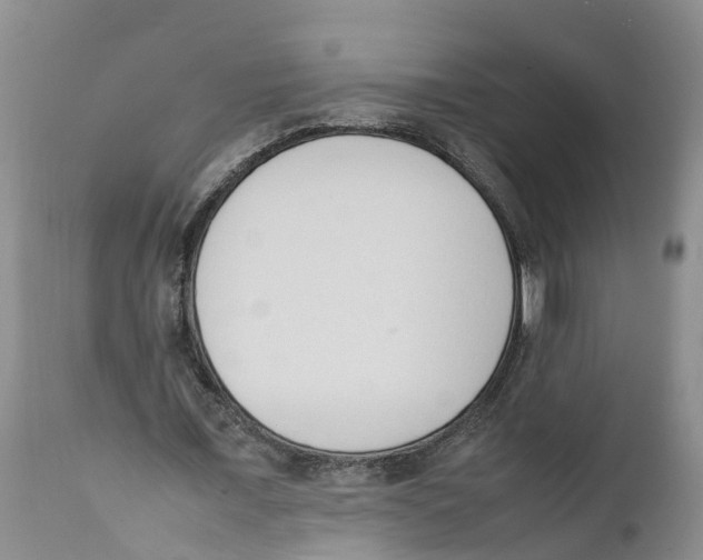 X0000111950675200908241205