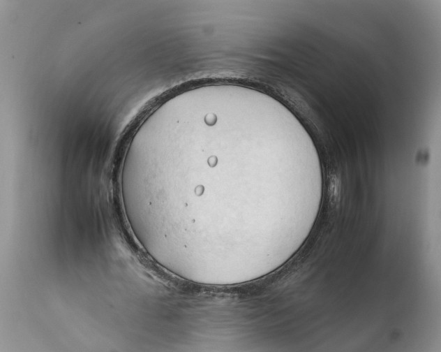X0000111950676200908241205
