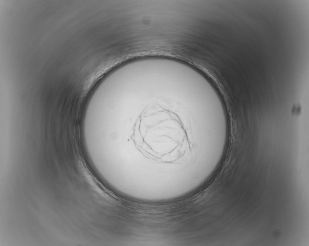 X0000111950677200908241205
