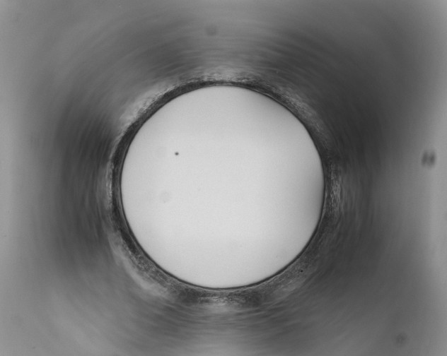 X0000111950678200908241205