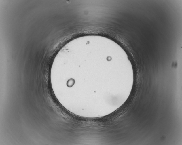 X0000111950681200908241205