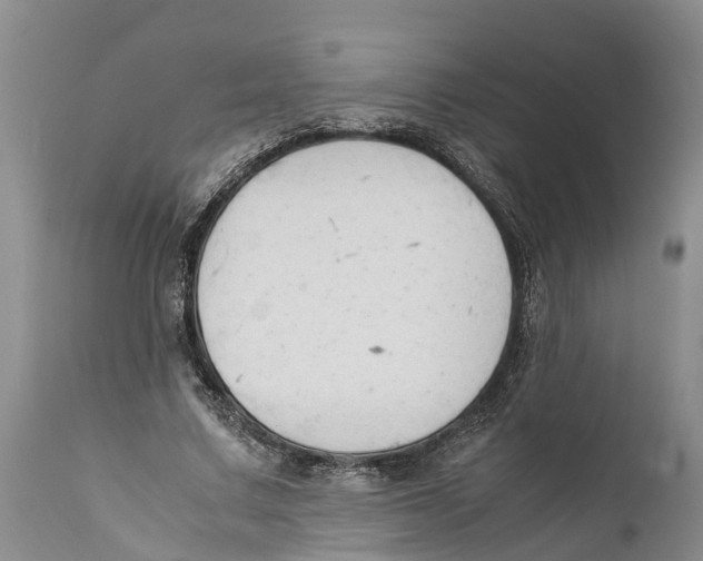 X0000111950683200908241205
