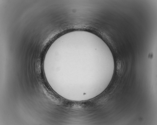 X0000111950684200908241205