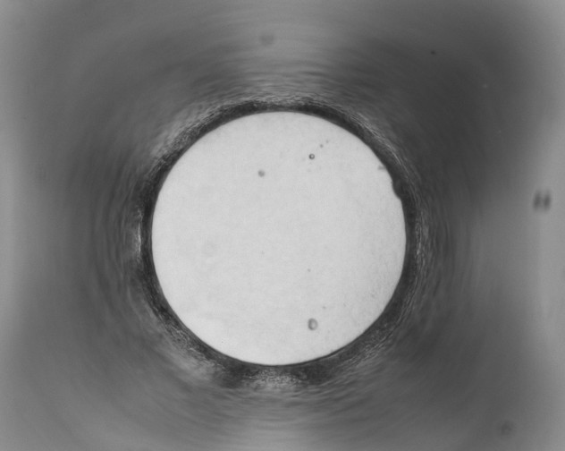 X0000111950685200908241205