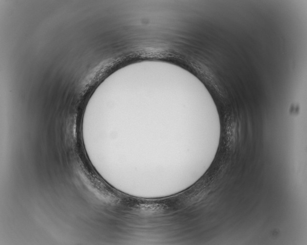 X0000111950686200908241205