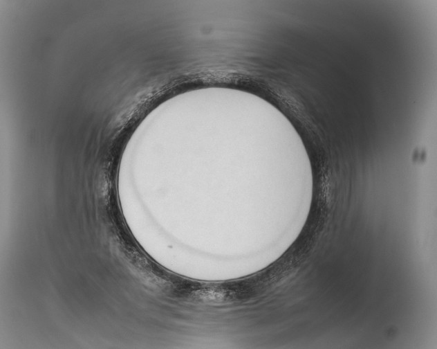 X0000111950687200908241205