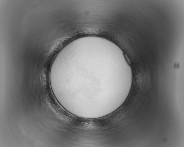 X0000111950688200908241205