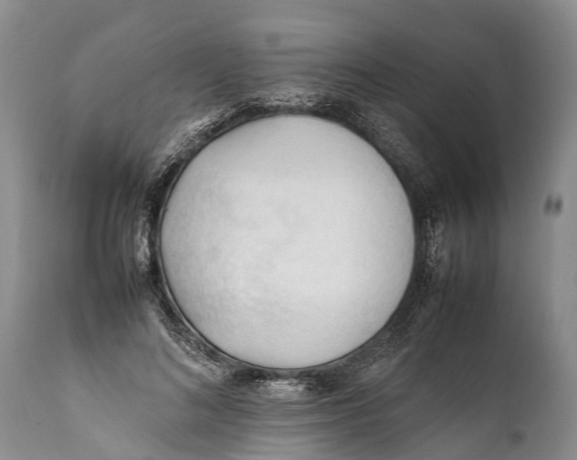 X0000111950692200908241205