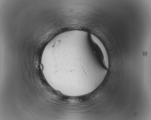 X0000111950693200908241205