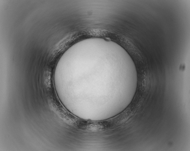 X0000111950696200908241205