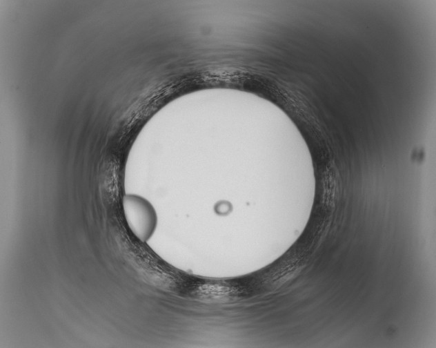 X0000111950699200908241205