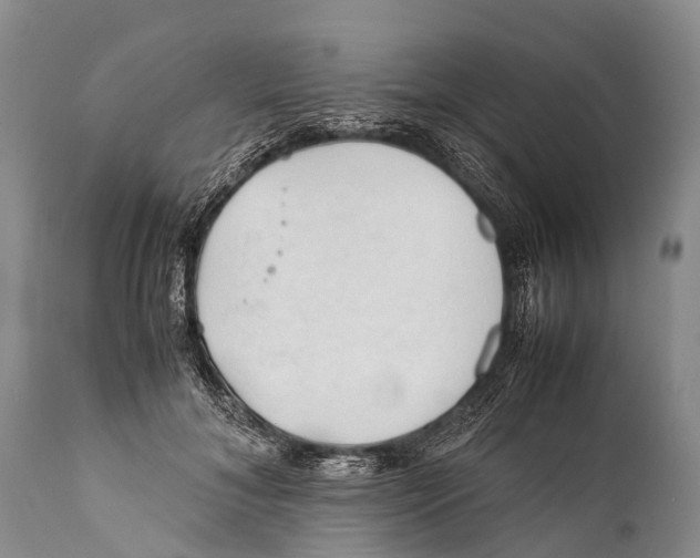 X0000111950700200908241205
