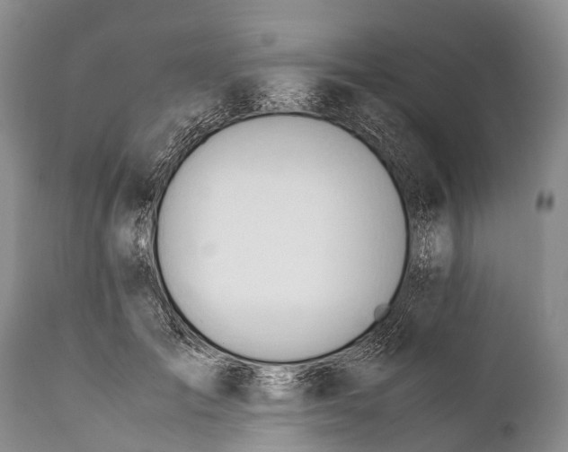 X0000111950701200908241205