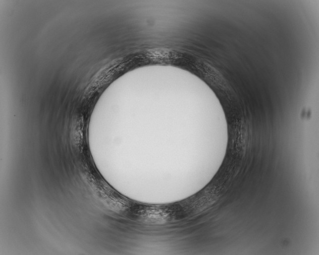 X0000111950702200908241205