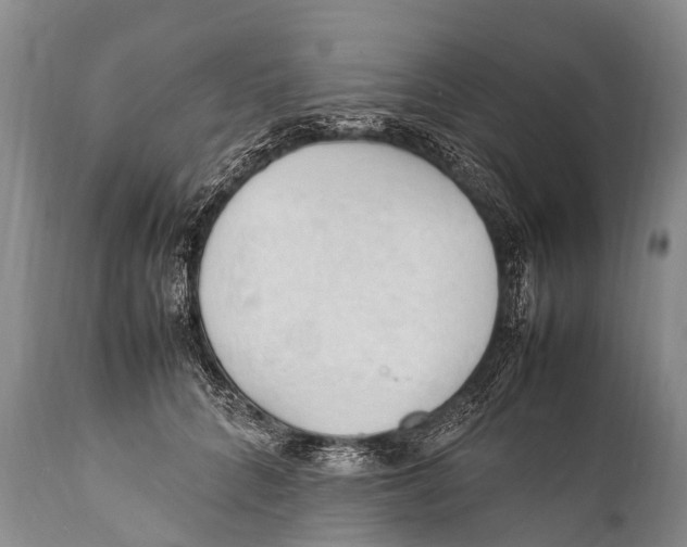 X0000111950704200908241205