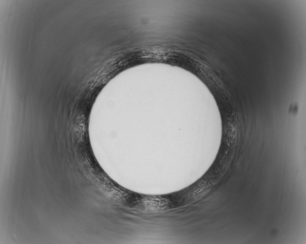X0000111950707200908241204
